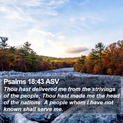 Psalms 18:43 ASV Bible Verse Image