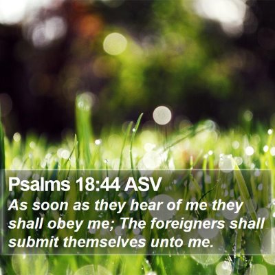 Psalms 18:44 ASV Bible Verse Image
