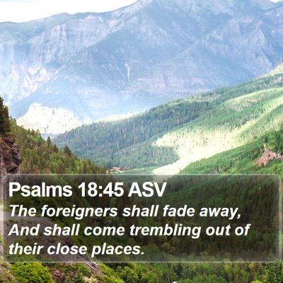 Psalms 18:45 ASV Bible Verse Image