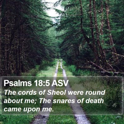 Psalms 18:5 ASV Bible Verse Image
