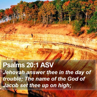 Psalms 20:1 ASV Bible Verse Image
