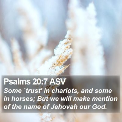 Psalms 20:7 ASV Bible Verse Image