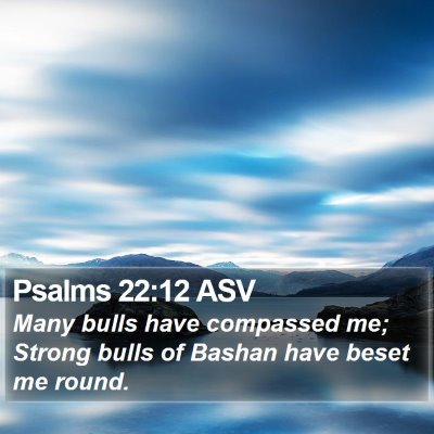 Psalms 22:12 ASV Bible Verse Image