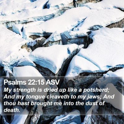 Psalms 22:15 ASV Bible Verse Image