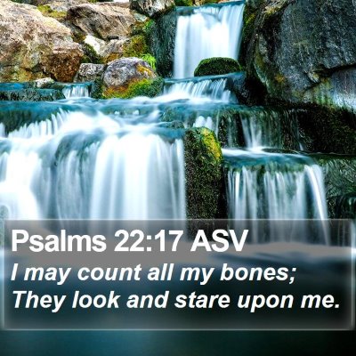 Psalms 22:17 ASV Bible Verse Image