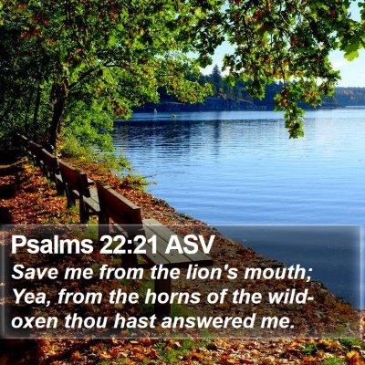 Psalms 22:21 ASV Bible Verse Image