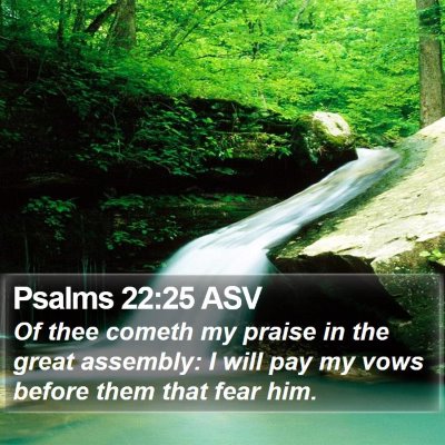 Psalms 22:25 ASV Bible Verse Image