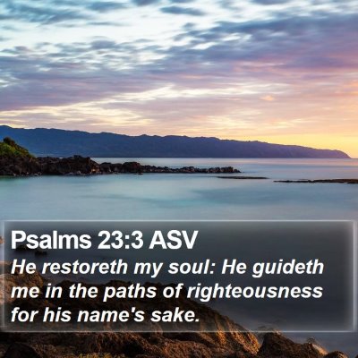 Psalms 23:3 ASV Bible Verse Image
