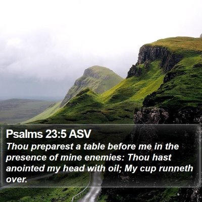 Psalms 23:5 ASV Bible Verse Image