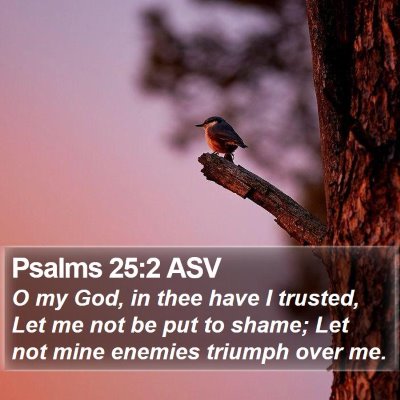 Psalms 25:2 ASV Bible Verse Image