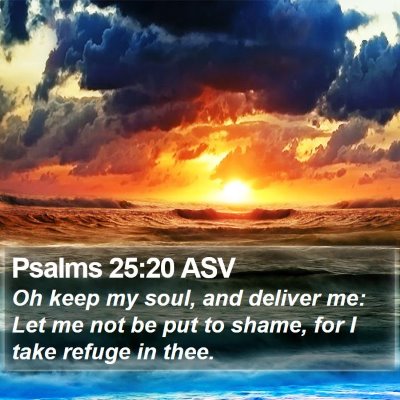 Psalms 25:20 ASV Bible Verse Image