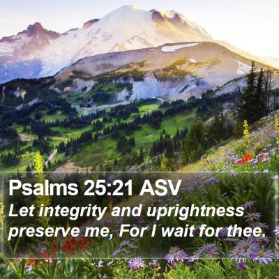 Psalms 25:21 ASV Bible Verse Image