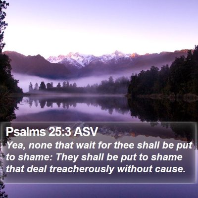 Psalms 25:3 ASV Bible Verse Image