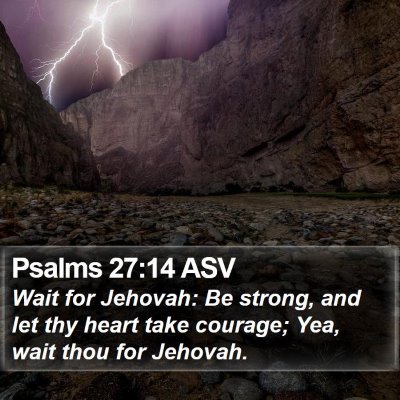 Psalms 27:14 ASV Bible Verse Image