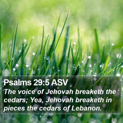 Psalms 29:5 ASV Bible Verse Image