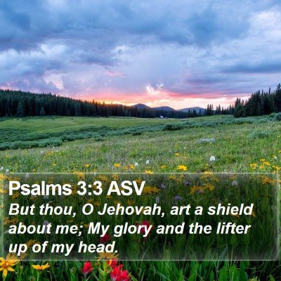 Psalms 3:3 ASV Bible Verse Image