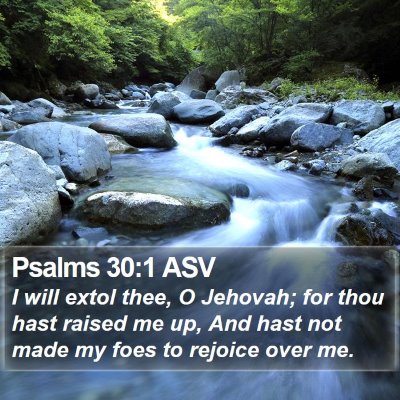 Psalms 30:1 ASV Bible Verse Image