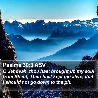 Psalms 30:3 ASV Bible Verse Image