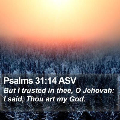 Psalms 31:14 ASV Bible Verse Image