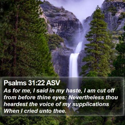Psalms 31:22 ASV Bible Verse Image
