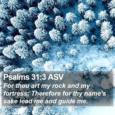Psalms 31:3 ASV Bible Verse Image