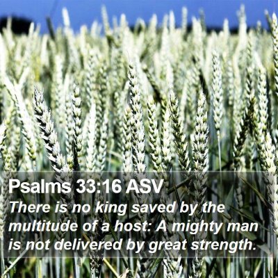 Psalms 33:16 ASV Bible Verse Image