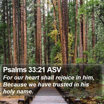 Psalms 33:21 ASV Bible Verse Image