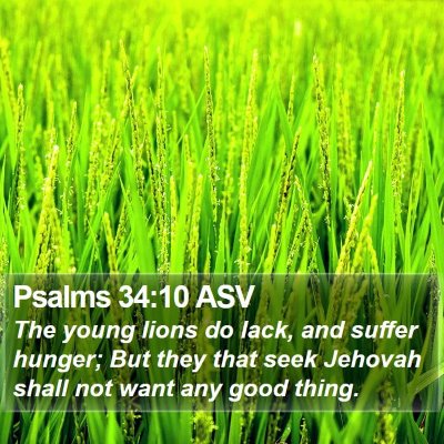 Psalms 34:10 ASV Bible Verse Image
