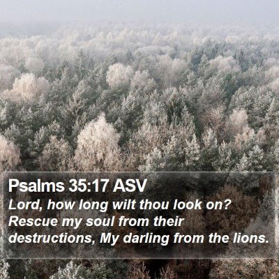 Psalms 35:17 ASV Bible Verse Image