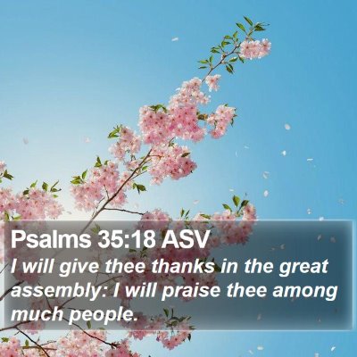 Psalms 35:18 ASV Bible Verse Image