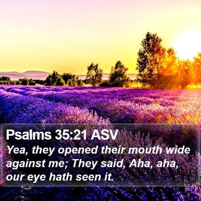 Psalms 35:21 ASV Bible Verse Image