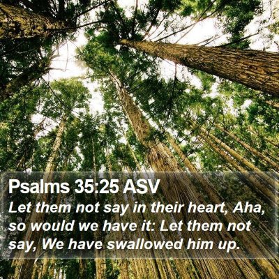 Psalms 35:25 ASV Bible Verse Image