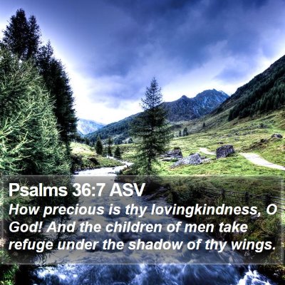 Psalms 36:7 ASV Bible Verse Image