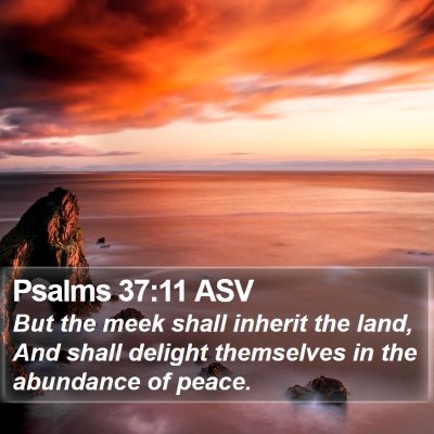 Psalms 37:11 ASV Bible Verse Image