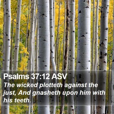 Psalms 37:12 ASV Bible Verse Image