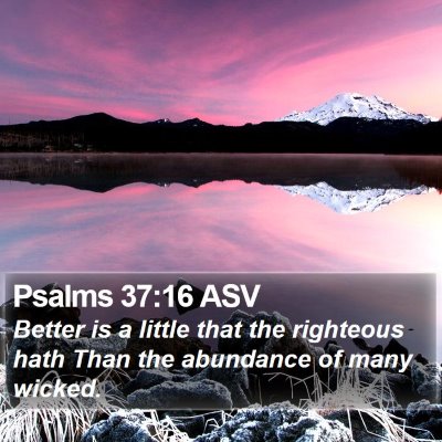 Psalms 37:16 ASV Bible Verse Image
