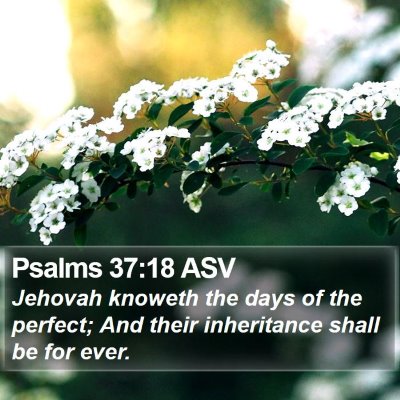 Psalms 37:18 ASV Bible Verse Image