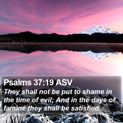 Psalms 37:19 ASV Bible Verse Image