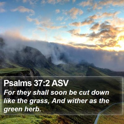 Psalms 37:2 ASV Bible Verse Image