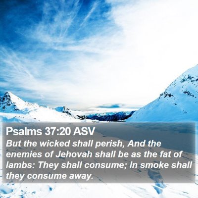 Psalms 37:20 ASV Bible Verse Image