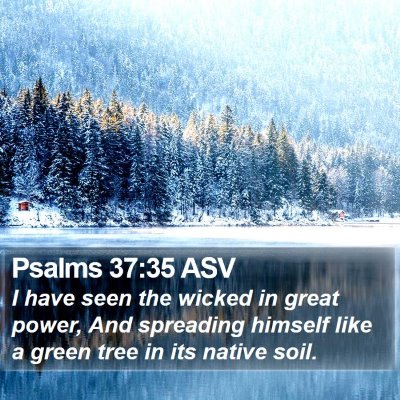 Psalms 37:35 ASV Bible Verse Image