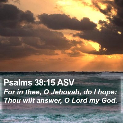 Psalms 38:15 ASV Bible Verse Image