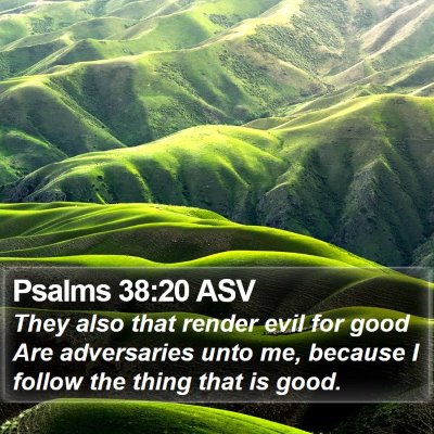 Psalms 38:20 ASV Bible Verse Image