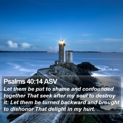 Psalms 40:14 ASV Bible Verse Image