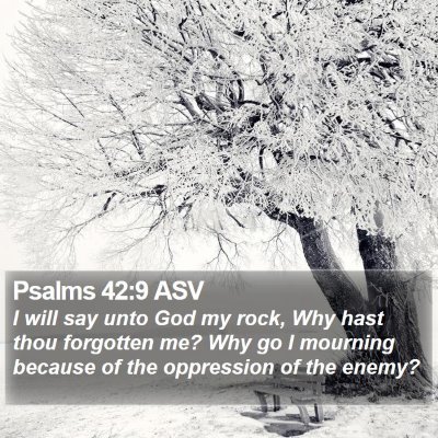 Psalms 42:9 ASV Bible Verse Image