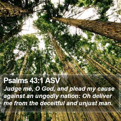 Psalms 43:1 ASV Bible Verse Image