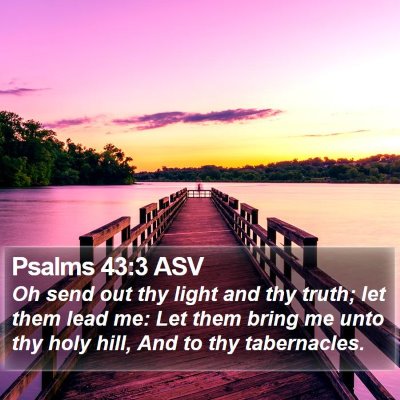 Psalms 43:3 ASV Bible Verse Image