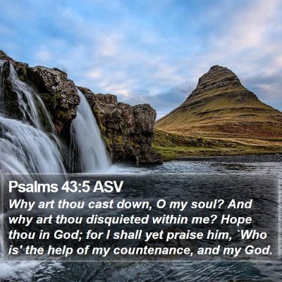 Psalms 43:5 ASV Bible Verse Image