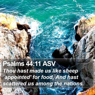 Psalms 44:11 ASV Bible Verse Image