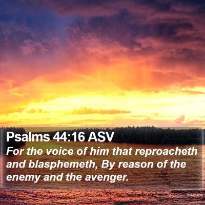 Psalms 44:16 ASV Bible Verse Image